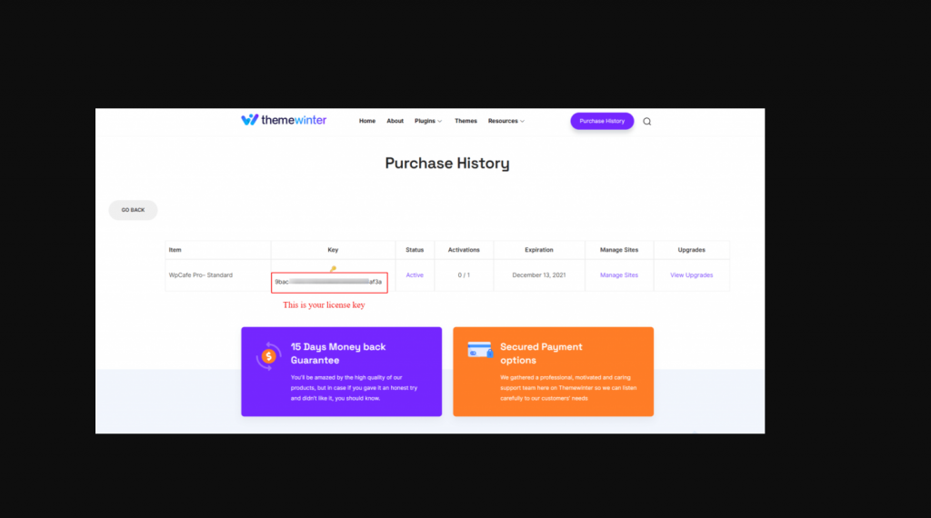 Themewinter Cafesio Activation Key