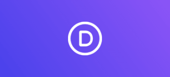 DIVI theme logo
