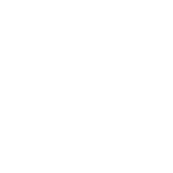 Bizxpo White Logo