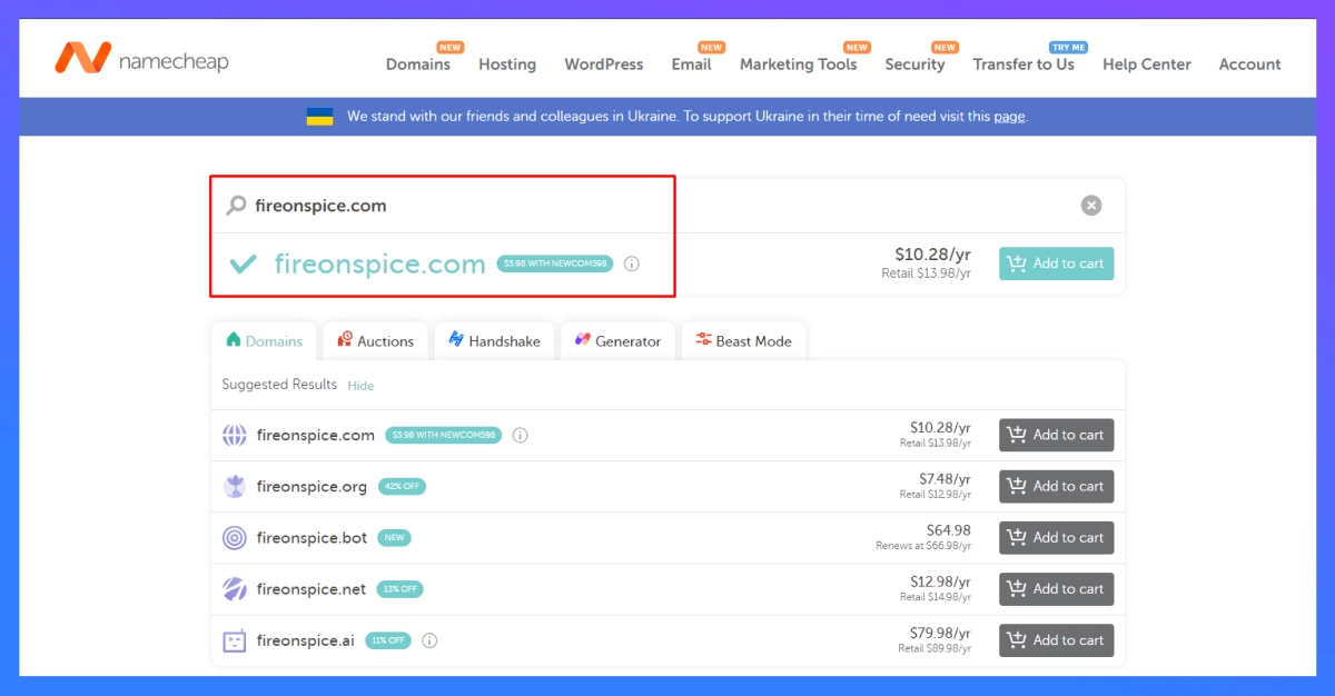 domain name selection