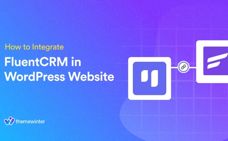  How to Integrate FluentCRM in WordPress Website 