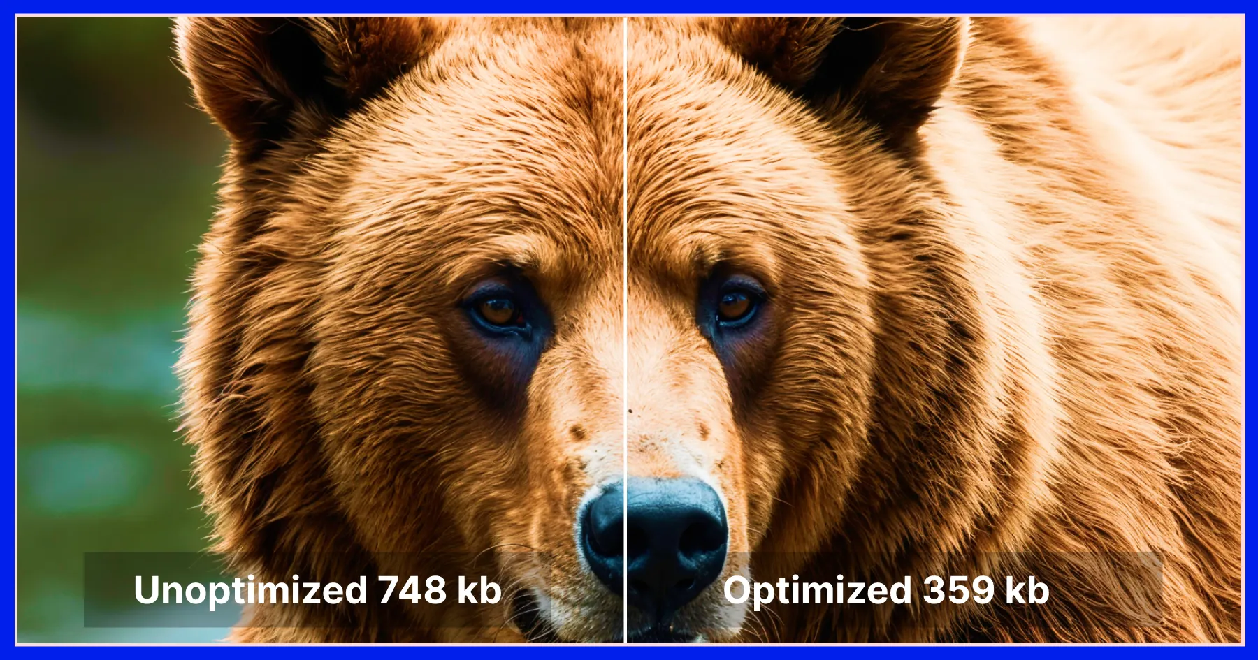 Optimize images and media