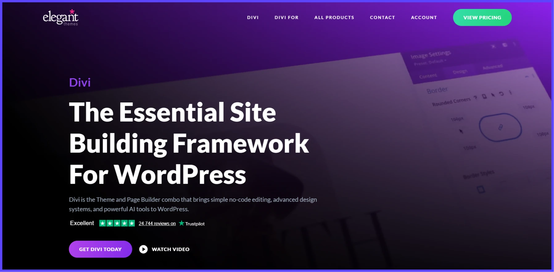 Divi Theme