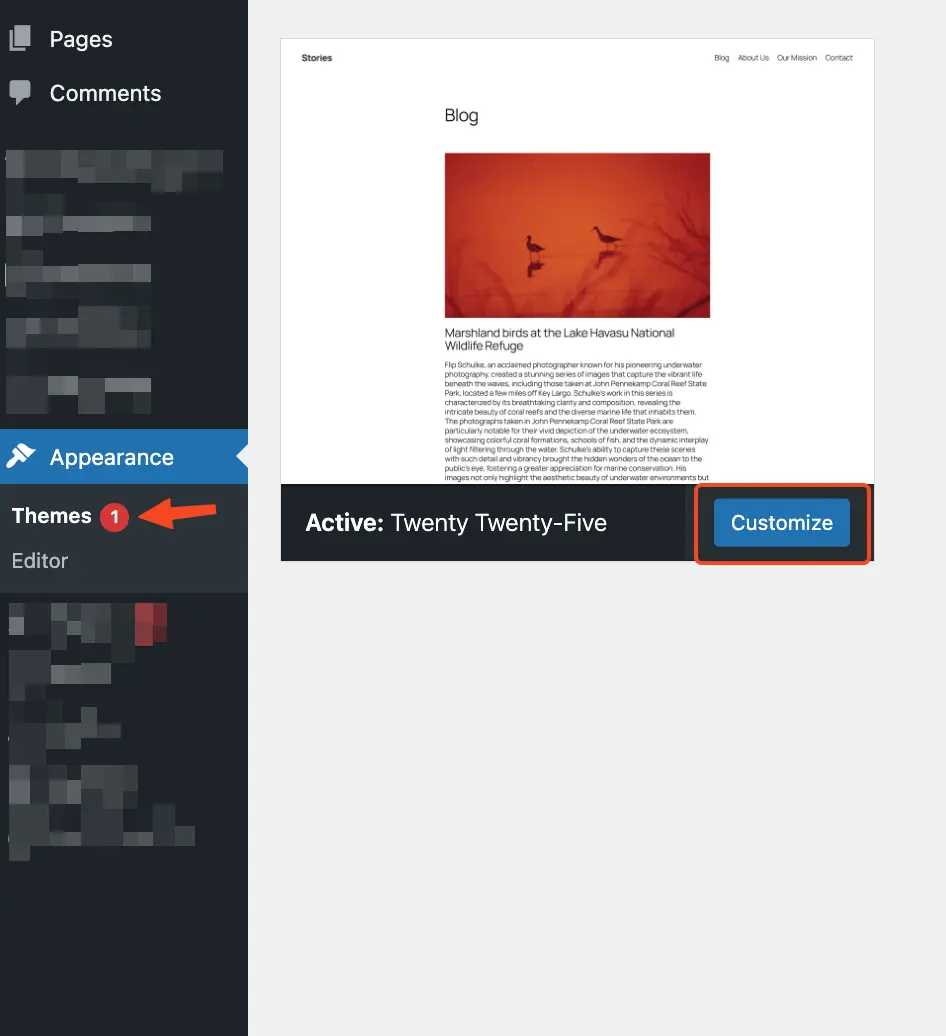 access to the full site editing